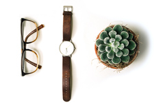 Glasses, watch and cactus
